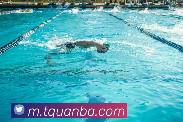 nba投注网站品牌故事